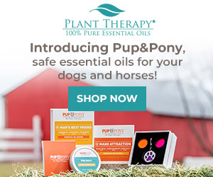 Essential Oils for Pets