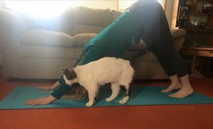 Practicing yoga at home