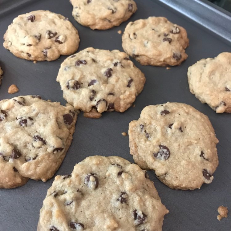 Double chocolate chip cookies fresh from the oven